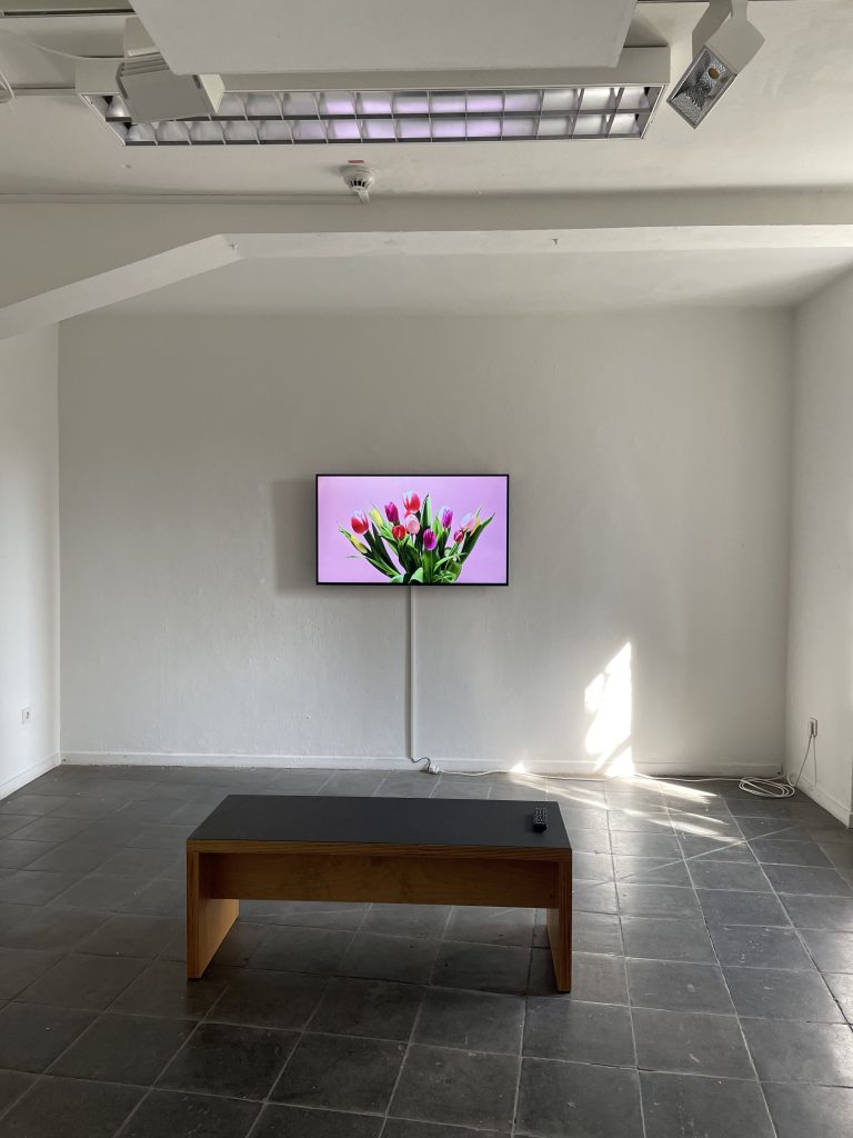 Ein Ausstellungsraum. Ein Monitor an der Wand und eine Bank davor. Auf dem Monitor ist ein Strauß Tulpen zu sehen vor einem pinkfarbenem Hintergrund.
